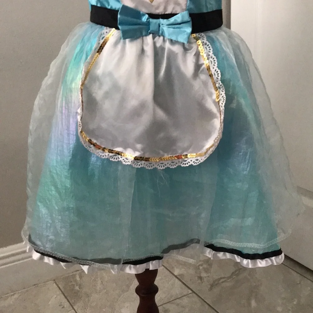 Girl's Miss Alice Storybook Halloween Costume Dress | S 6X